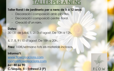 Taller d’estiu per a nens